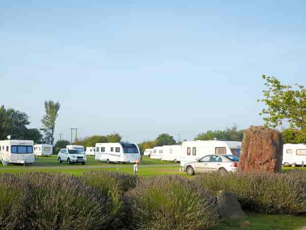 Electric grass touring pitch (no pets)
