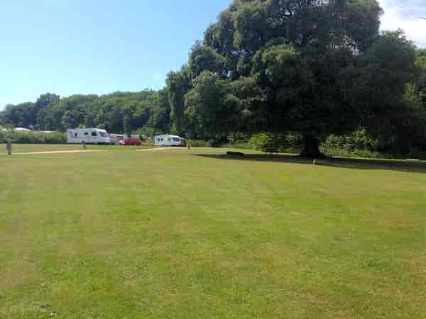 Electric grass pitch (adults only)