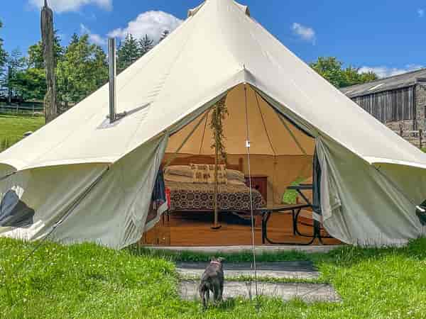 Daisy bell tent