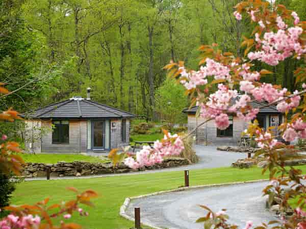1 bedroom cabin (hot tub)