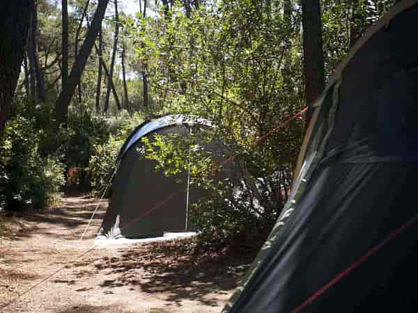 Powered forest floor tent site