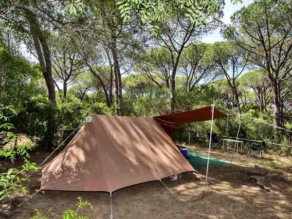 Powered tent site (pinewood)