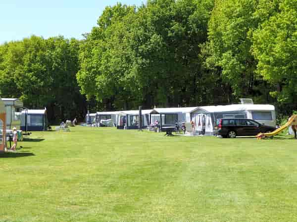 Electric optional grass pitch