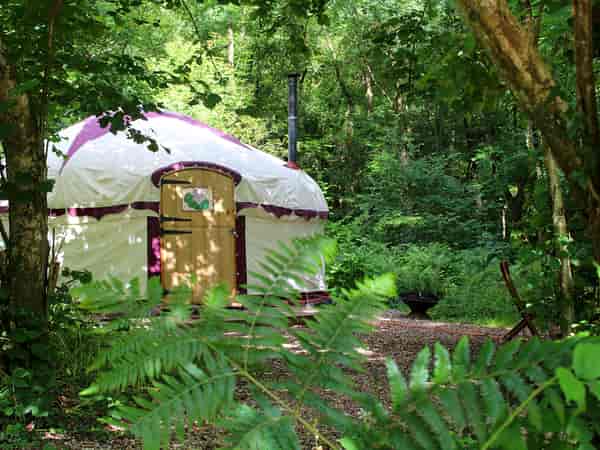Yurt (woodland)