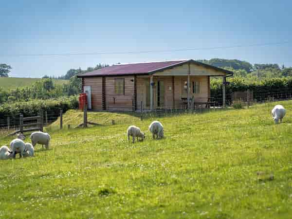 2 bedroom cabin