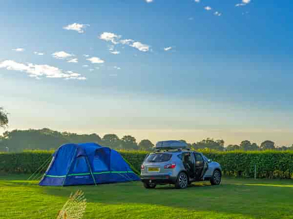 Electric grass tent pitch