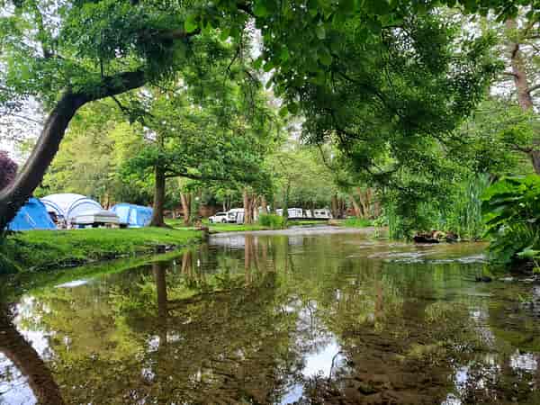 Non-electric grass tent pitch (medium)