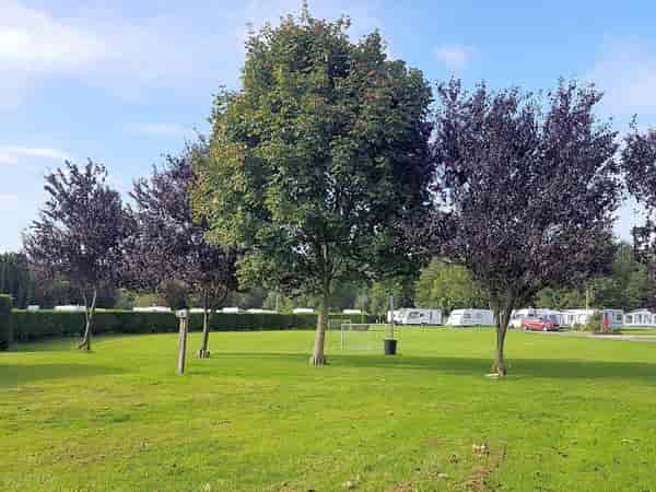 Emplacement pour tente sur herbe sans électricité (en solo)