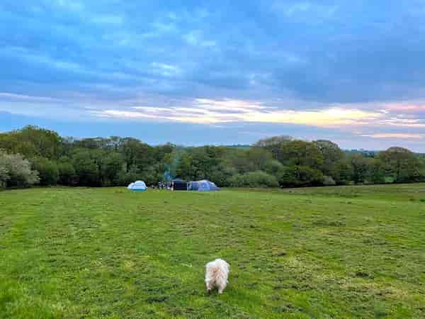 Non-electric grass tent pitch
