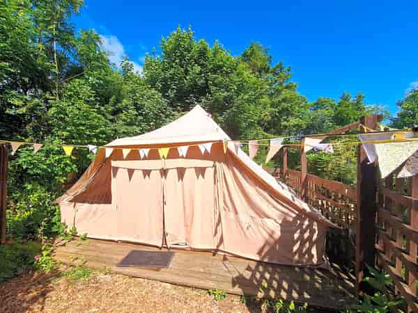 Sunflower safari tent