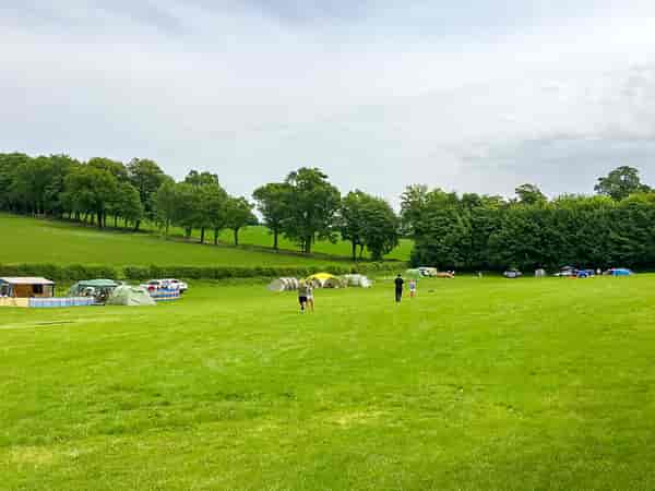 Paddock non-electric grass tent or campervan pitch (family)