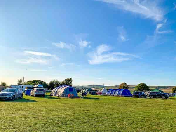 Electric grass tent pitch