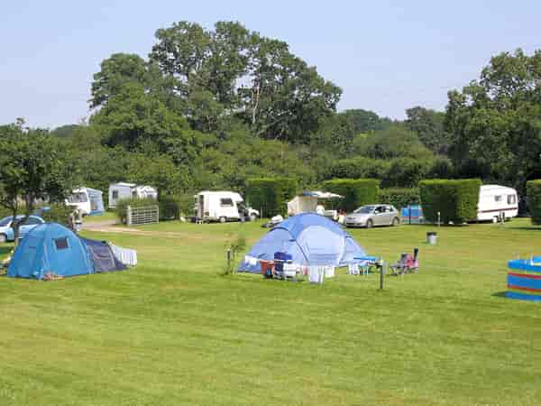 Powered grass site
