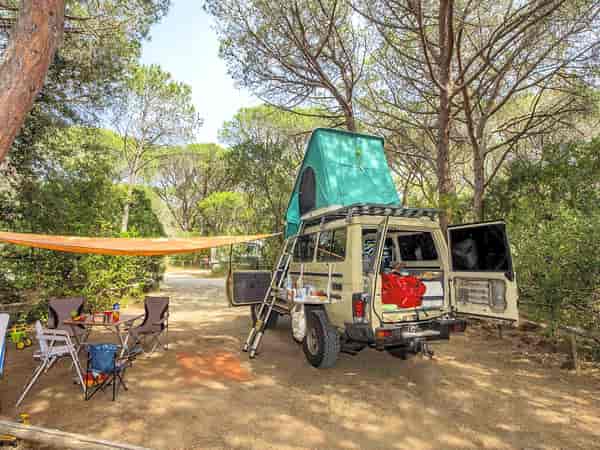 Powered trailer tent site (pinewood)