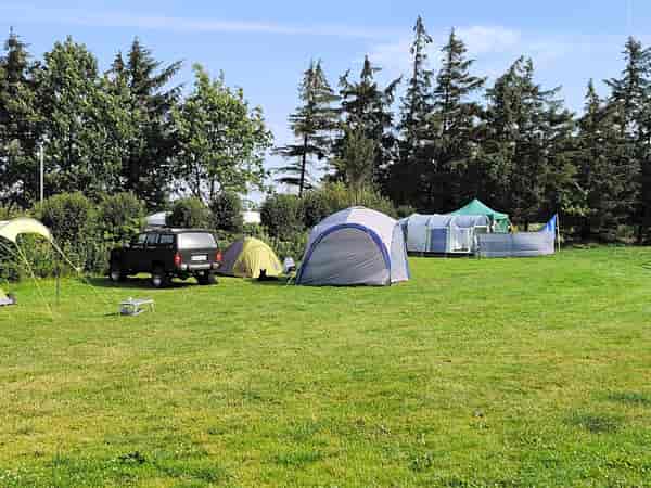 Staplaats voor een tent op gras , elektriciteit optioneel