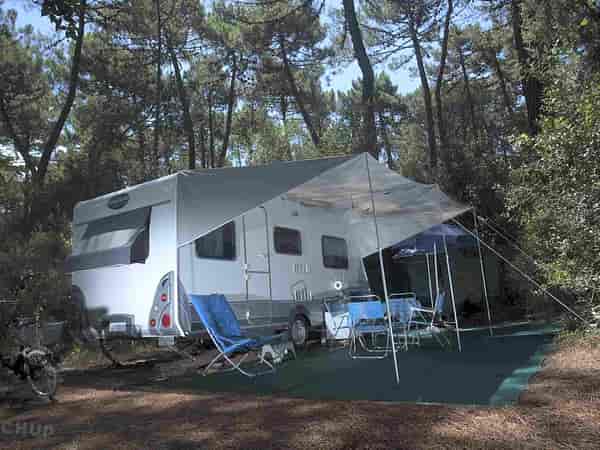 Powered forest floor site (comfort)