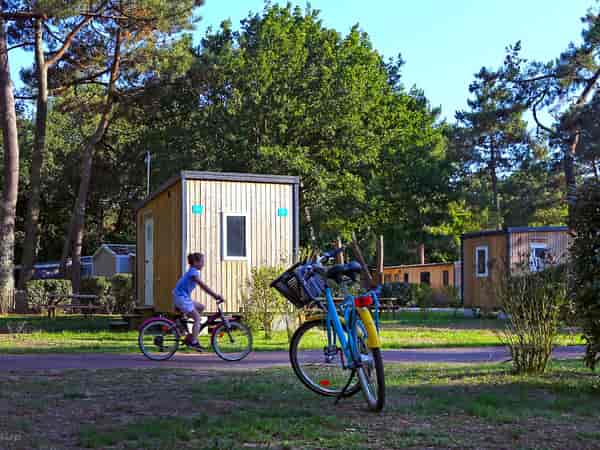 Emplacement (Prestige) sur herbe et sur sable avec électricité (sanitaires privés)