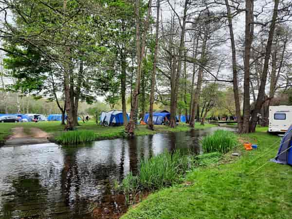 Electric grass tent pitch (medium)