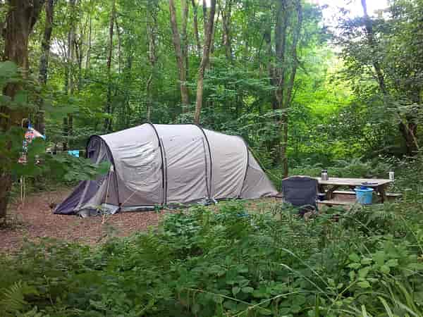 Bracken non-electric forest floor tent pitch