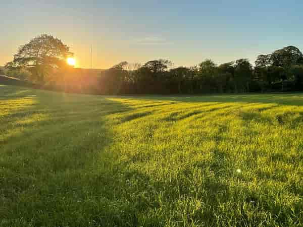 Non-electric grass tent or trailer tent pitch