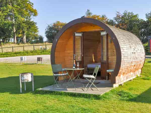 Pea camping-pod