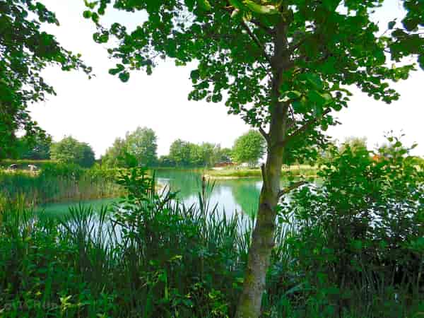Non-electric grass tent pitch (lake view)