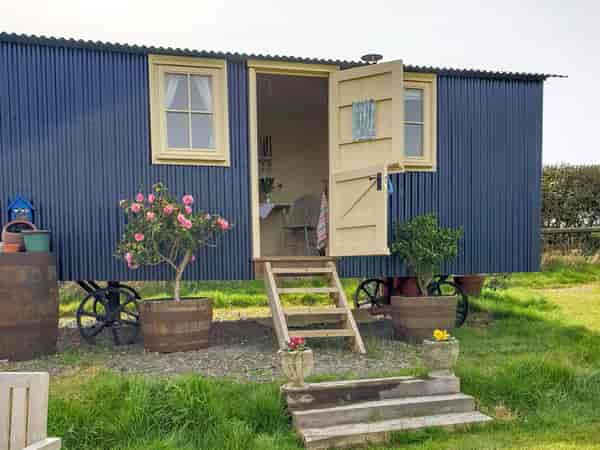 Bluebird shepherd's hut