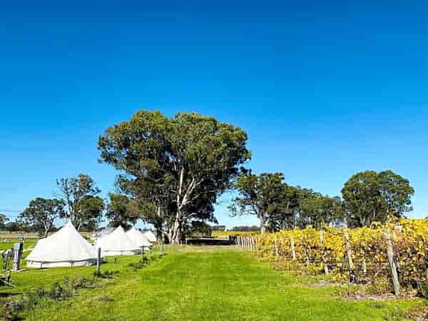 Stargazer Glamping saharatent