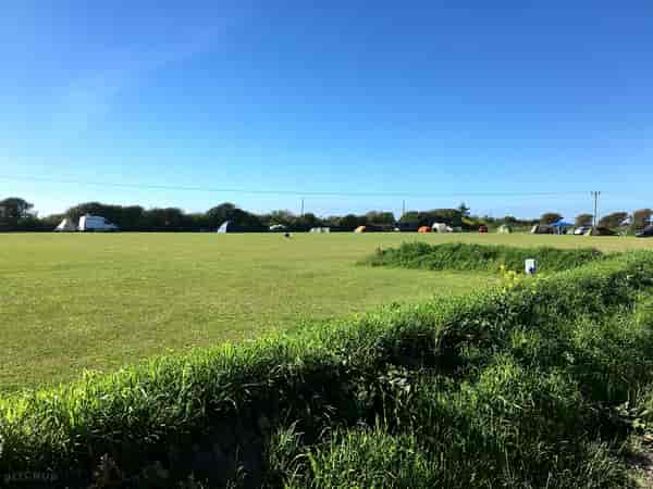Electric grass pitch