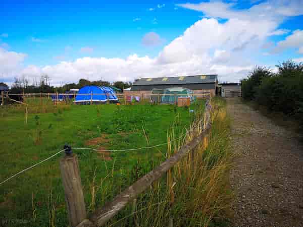 Electric grass tent pitch
