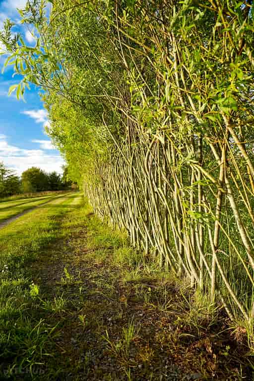 Willowbrook Glamping And Hideaways Ballaghaderreen