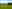 Lincolnshire