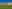 Campsites in USA