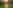 Bell tent