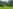 Algie non-electric grass and earth tent pitch