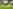 Unpowered grass tent or trailer tent site