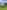 Electric grass pitch