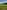 Non-electric grass tent, trailer tent or campervan pitch (adults only, no pets)