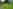 Unpowered grass tent site (small)