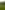 Non-electric grass tent or trailer tent pitch