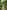 Non-electric grass tent pitch (medium)