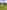 Powered grass site