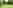 Electric optional grass pitch (comfort)
