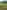 Electric optional grass campervan pitch