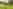 Non-electric grass tent pitch