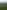 Non-electric grass tent pitch