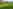 Non-electric grass tent pitch