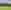 Non-electric grass tent or trailer tent pitch