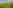 Non-electric grass tent pitch