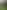Non-electric grass tent, trailer tent or campervan pitch (large)